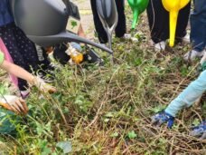 {{brizy_dc_image_alt imageSrc=