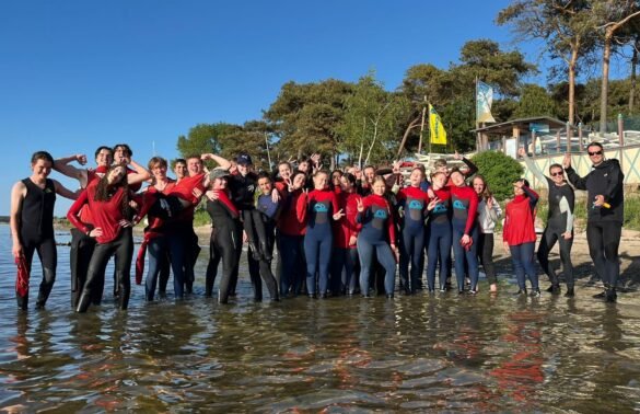 {{brizy_dc_image_alt entityId=