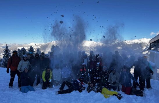 {{brizy_dc_image_alt entityId=